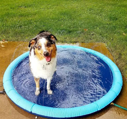 🐶The FidoSplash🐕A splash pad and sprinkler for dogs to enjoy